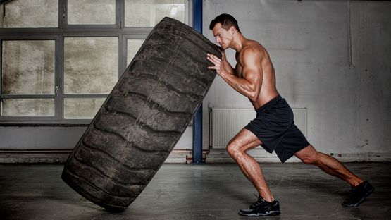 Clenbuterol Modelo de Recepción